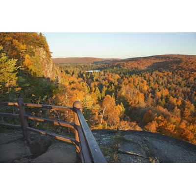 Trees in Fall Color - Photographie sur toile tendue