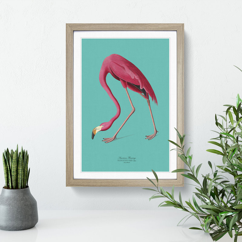 Flamingo in Teal by John Audubon - Picture Frame Graphic Art Print on MDF, Oak Framed, 48cm H x 36cm W x 2cm D