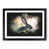 Black Framed selected