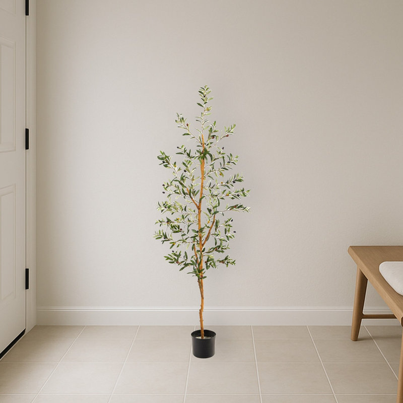 Olive Artificial Tree, 66" H x 13" W x 13" D