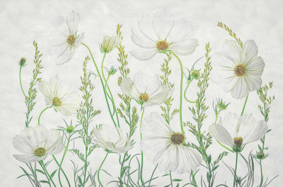 Wrapped Canvas Print, 50.8 cm H x 76.2 cm W