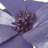 Poinsettia Arrangement-1814756125