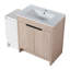 Meuble-lavabo autoportant avec lavabo en céramique et armoires de rangement, porte à fermeture douce