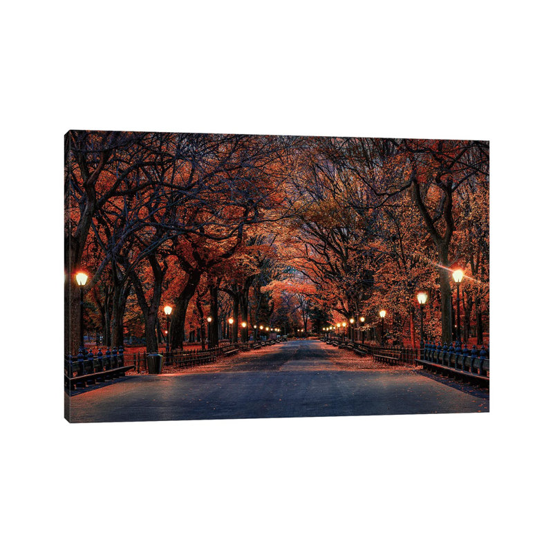 Central Park Fall by David Gardiner - Wrapped Canvas Gallery-Wrapped Canvas Giclée, 30.48 cm H x 45.72 cm W