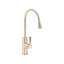 Kitchen Pull Out Tap Delanei Gold