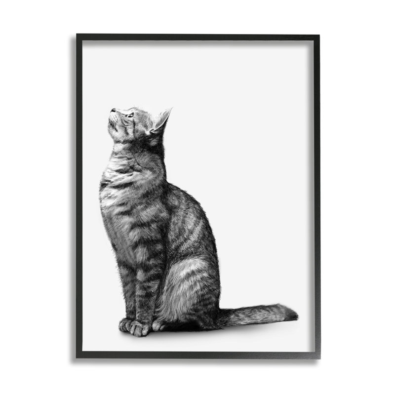 " Manx Cat Sitting Calmly Detailed Casual Portrait " Graphic Art Print, 11" W x 14" H, Midnight Black Framed Giclee