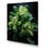 " Meticulously Detailed Rhododendron Flowers "