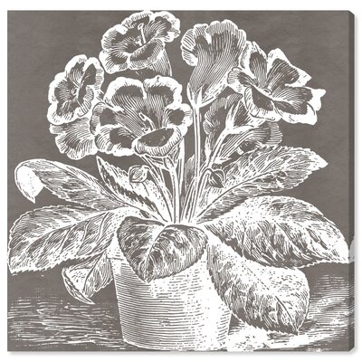 Floral and Botanical Potted Primrose Woodblock Florals - Wrapped Canvas Graphic Art Print -  August Grove®, D4EB1DA594CF486FAACA1A426453D296