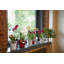 Pot Planter-36813412