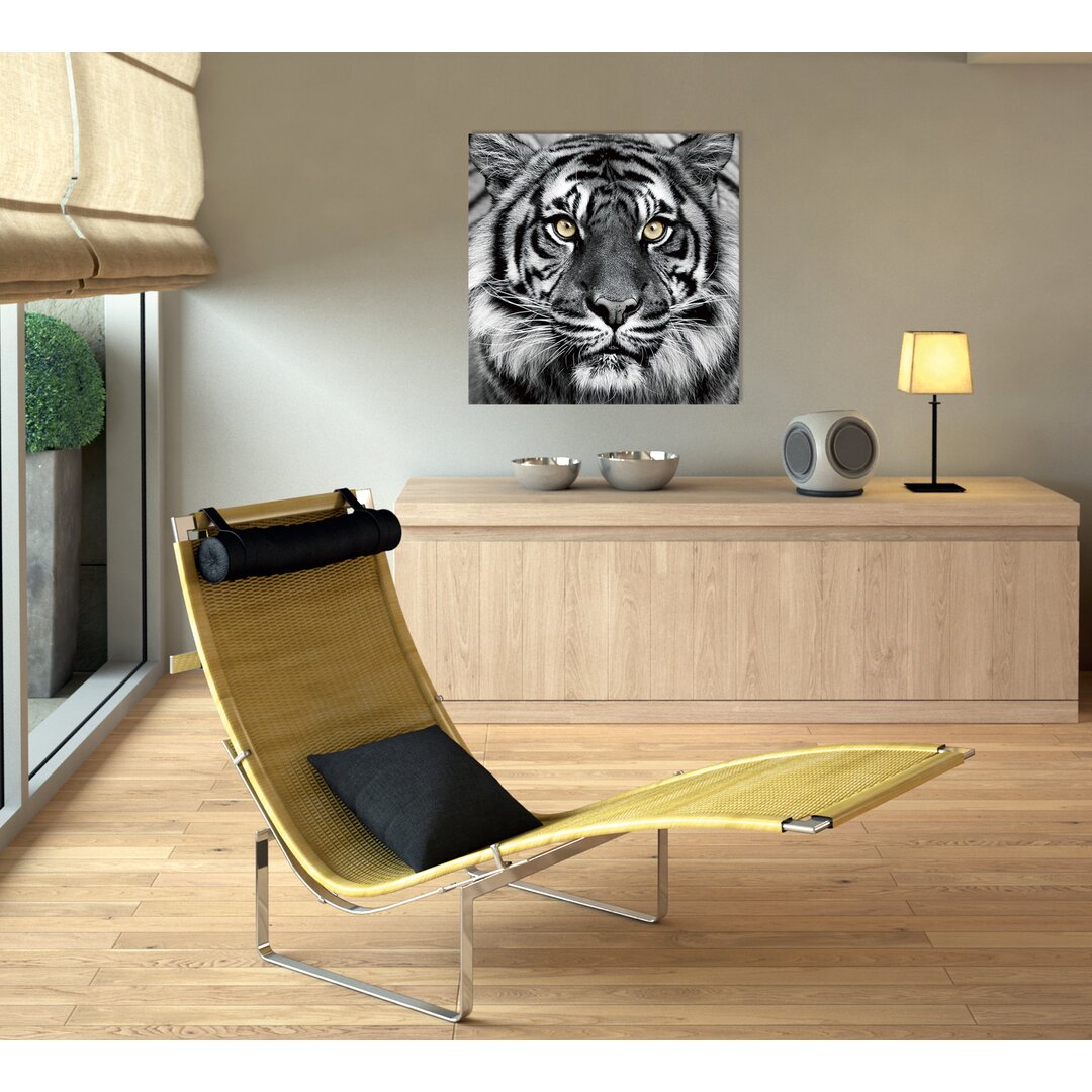 Glasbild Tiger