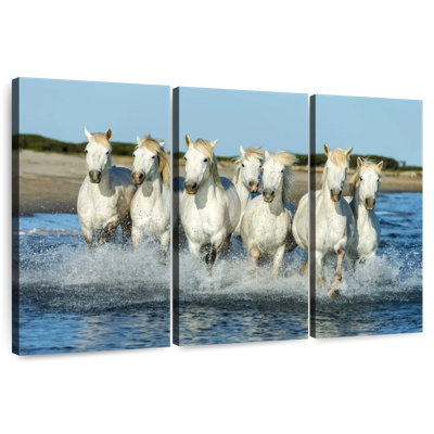 7 Horses