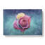 Multi-Coloured Rose Flower - Wrapped Canvas-56630230