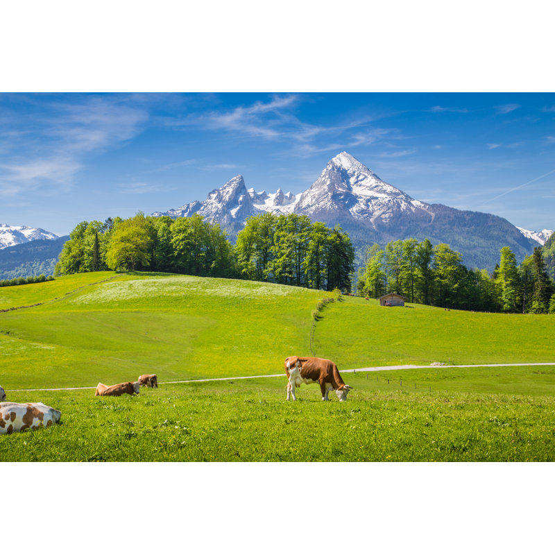 Idyllic Summer Landscape by Bluejayphoto - Wrapped Canvas Print, 30cm H x 46cm W