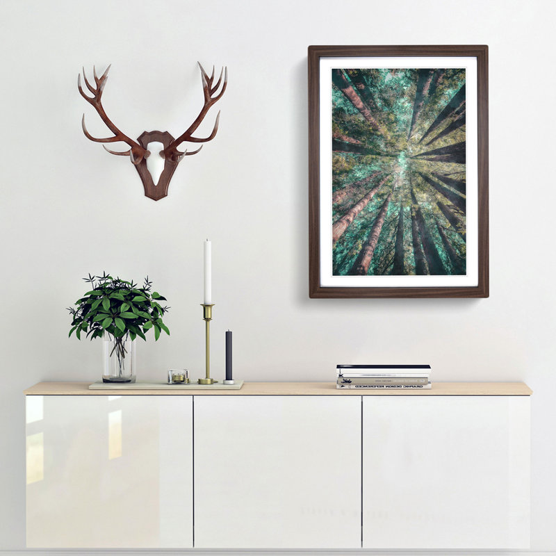 Redwood Trees in California - Picture Frame Graphic Art Print, 33cm H x 24cm W x 2cm D, Walnut Framed