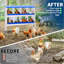 Nesting Boxes-1360844571