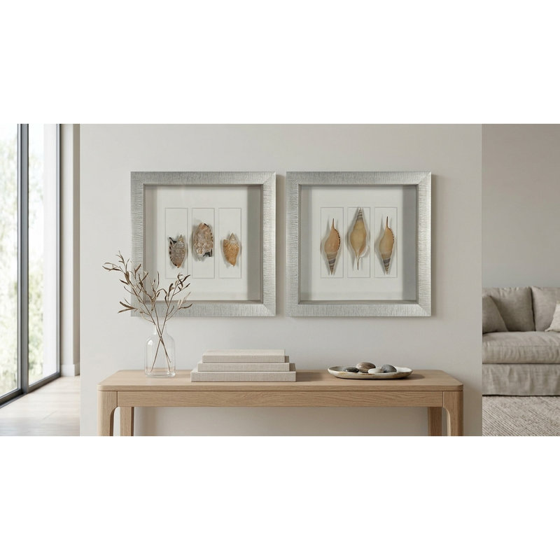 2 Piece Sea Shell Shadow Box Wall Décor Set