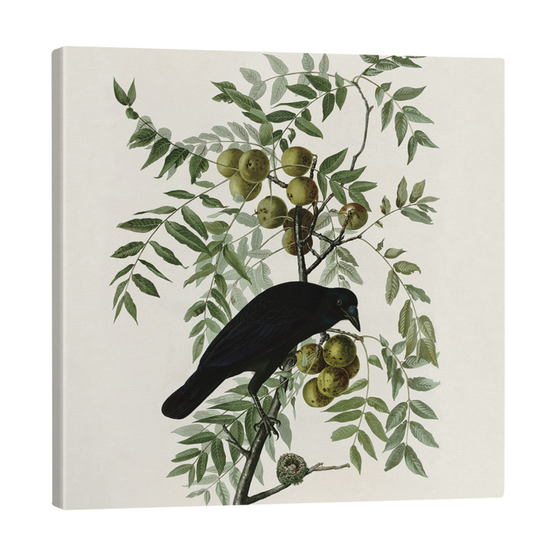 Toile tendue avec toile American Crow, H 11 po x l 9 po x P 2 po
