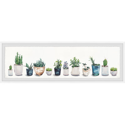 Succulents And Sunshine by Parvez Taj - Single Picture Frame Painting