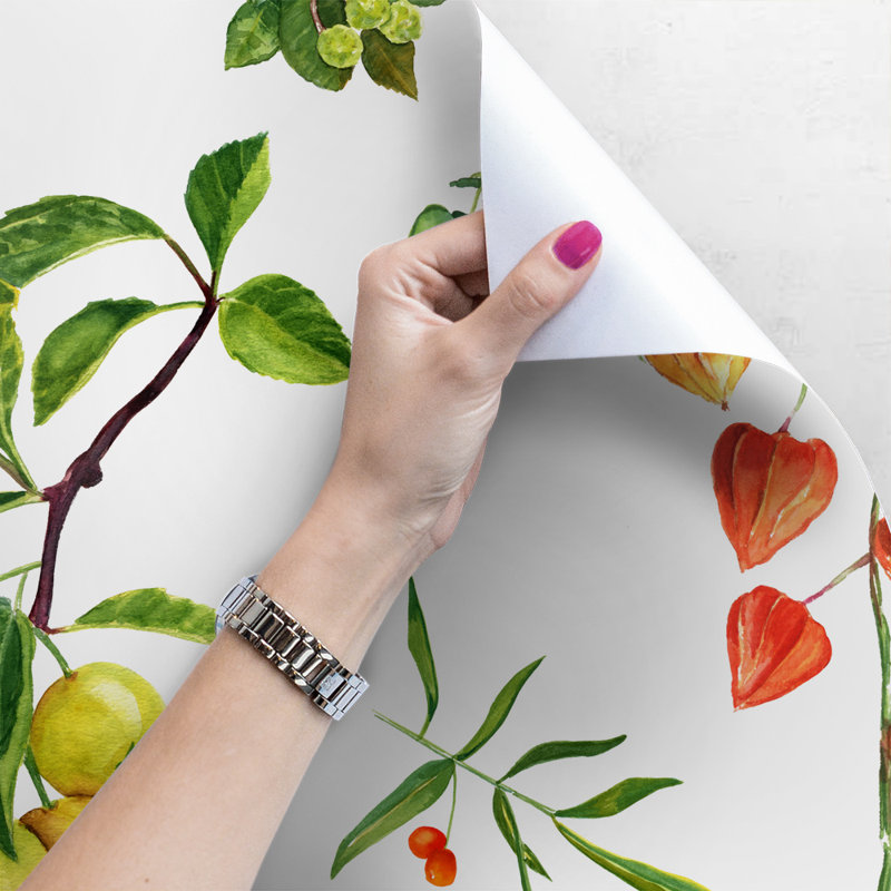 Hollie-Eve 2.5m x 2.5m Matte Peel & Stick Mural, 250 x 250cm