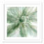 Macro fleur de sauge I - peinture encadrée-59984024-59984033