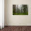 Alexan «Redwoods NP Fog», reproduction de photo sur toile tendue-24037137