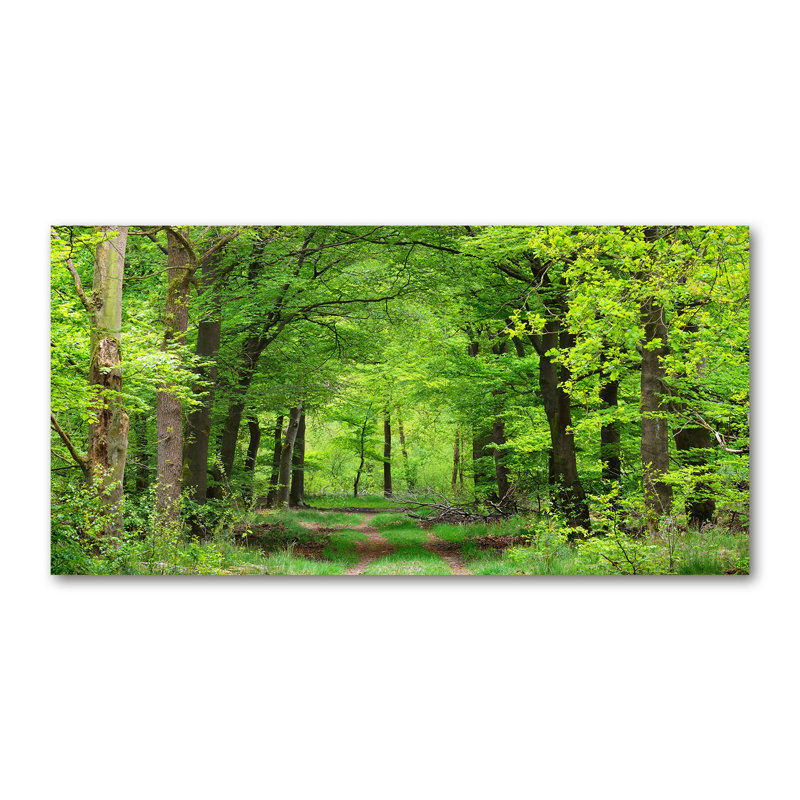 Spring Forest - Wrapped Canvas Print