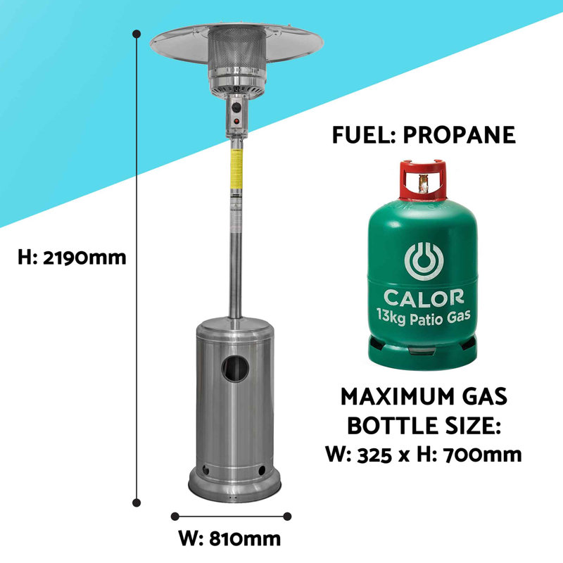 Antjedine Stainless Steel Propane Standing Patio Heater, Silver