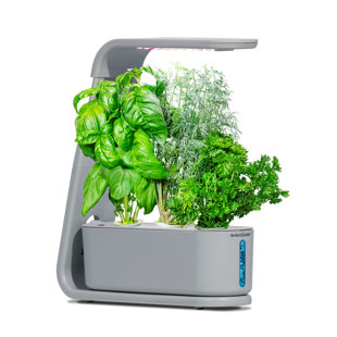 AeroGarden Sprout