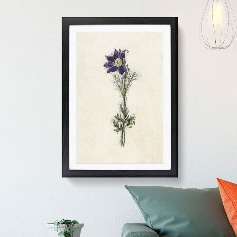 Illustration of a Purple Pasqueflower - Picture Frame Painting Print, 65cm H x 48cm W x 2cm D, Black Framed