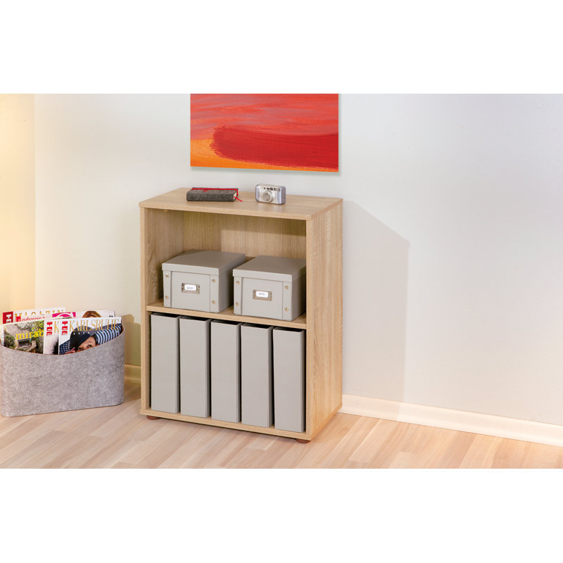 Levy 75cm H x 60cm W Standard Bookcase
