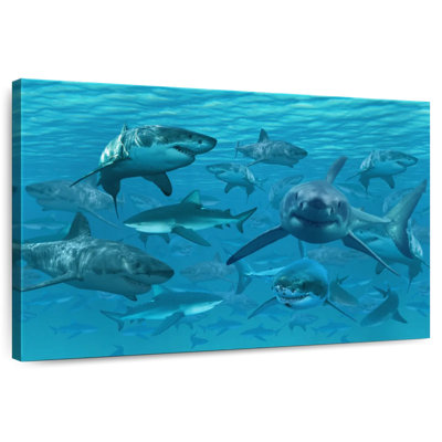 Crowle Shiver Of Sharks