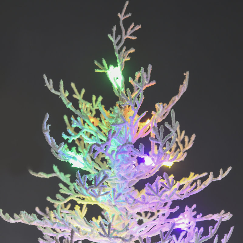 6 arbres de Noël