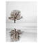 «Dream» par Ilona Wellmann, impression sur toile-1855984287