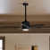 Bhram 48'' Ceiling Fan with LED Lights
