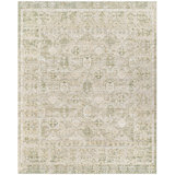 Once Upon A Time Wool Oriental Area Rug