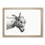 A Head Of A Donkey by Jean Bernard - Single Picture Frame Print-55453360-55453364