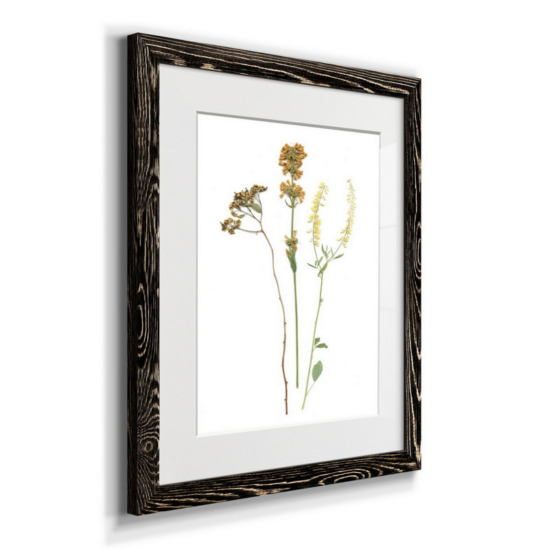 Pressed Botanical III - Cadre photo, reproduction d'art sur papier, H 20 po x l 17 po x P 1,5 po, Noir