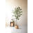 Kalalou Tall Artificial Olive Tree 63"H – Decorative Greenery in Black Plastic Pot