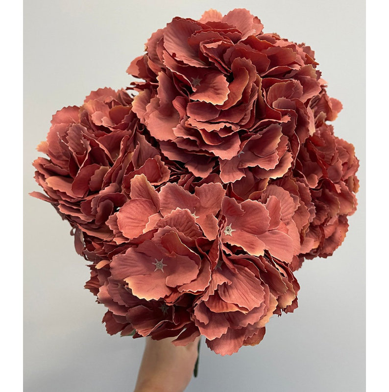 Tiges d'hortensias