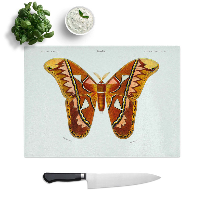 Tempered Glass Attacus Atlas Moth Chopping Board, 39 cm W x 28.5 cm L