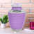 Purple est en rupture de stock sélectionné