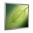 Silver Single Picture Framed