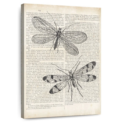 Libellules Brampt rétro sur papier journal