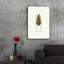 «Beetle Green» par Graphinc - impression non encadrée-1567346673