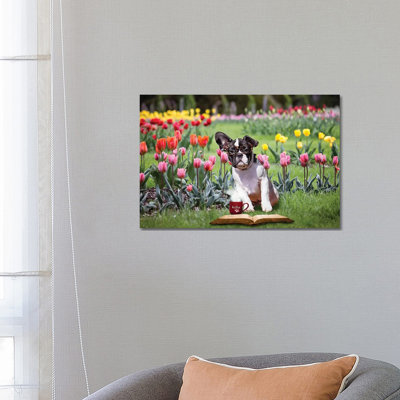 Charlie Coffee And A Book by Karen Burke - Wrapped Canvas Print