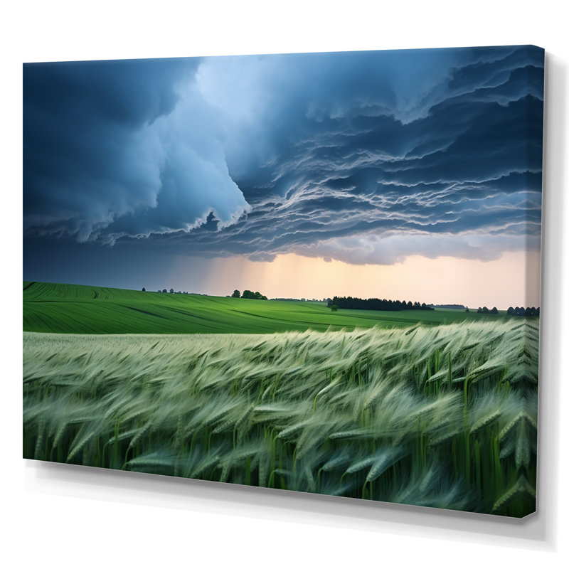 «Storm on Farm Landscape IV - Storms», art mural, Toile tendue, H 30 po x l 40 po x P 1,5 po