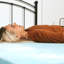 Surmatelas en mousse viscoélastique 3 po Benji-895374366