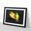Yellow Macaw Parrot - Framed Print-56841861-56841862