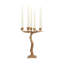 QUERCUS Candelabra - Brass