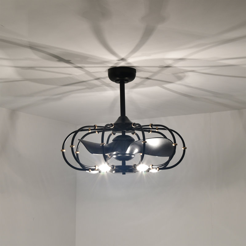 Mill 20'' Ceiling Fan with LED Lights